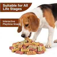 Bone-Shaped Biscuit Treats 240g Crunchy Delicious Snped Biscuit Treats 240g Crunchy Delicious Snack for Dogs And Cats Pet Treats